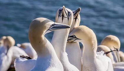 KAIYUNAPP-开云官方直播：把全球好物带到你的客厅