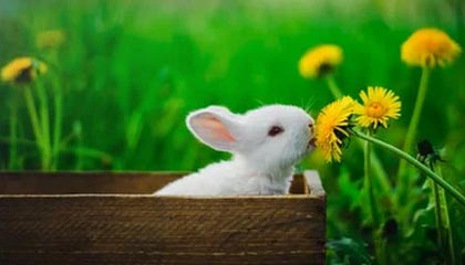 KAIYUNAPP-开云官方直播:把全球好物带到你的客厅